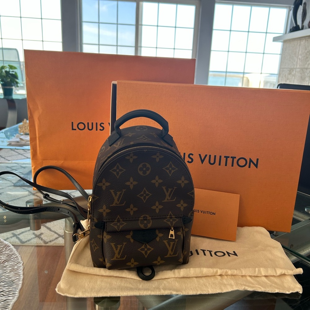 Louis Vuitton Palm Springs Mini Backpack